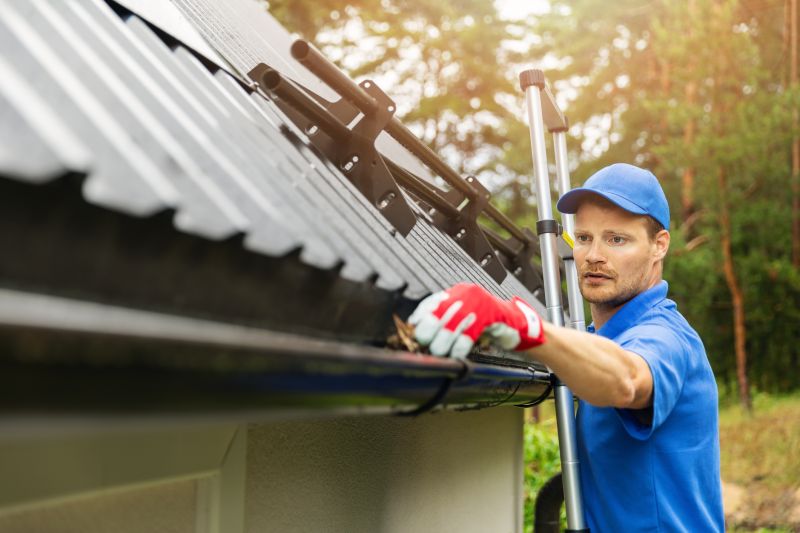Gutter and Roof Care